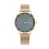 Montre Tommy Hilfiger Femme Pippa 1782669