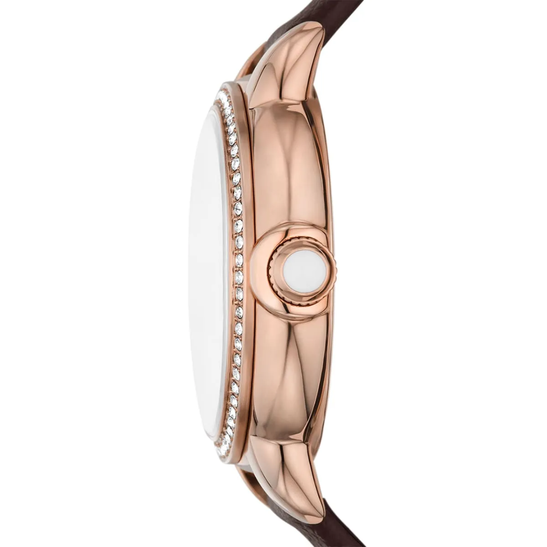 Montre EMPORIO ARMANI Pour Femme,  AR11568