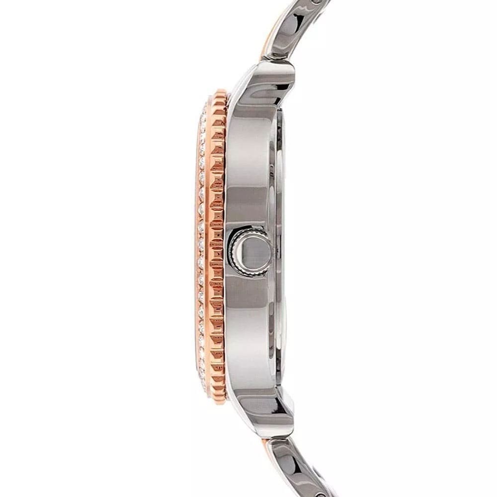 Montre GUESS Pour Femme - W0305L3